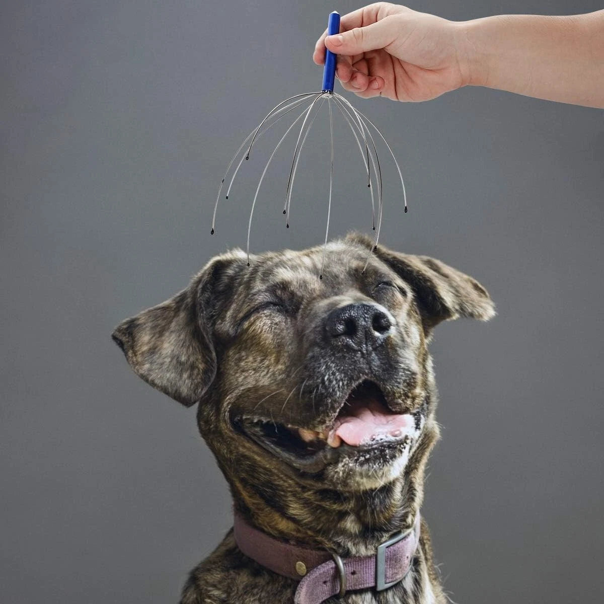 4PCS Head Massager Scalp Handheld Scratcher Deep Relaxation Hair Stress Relief
