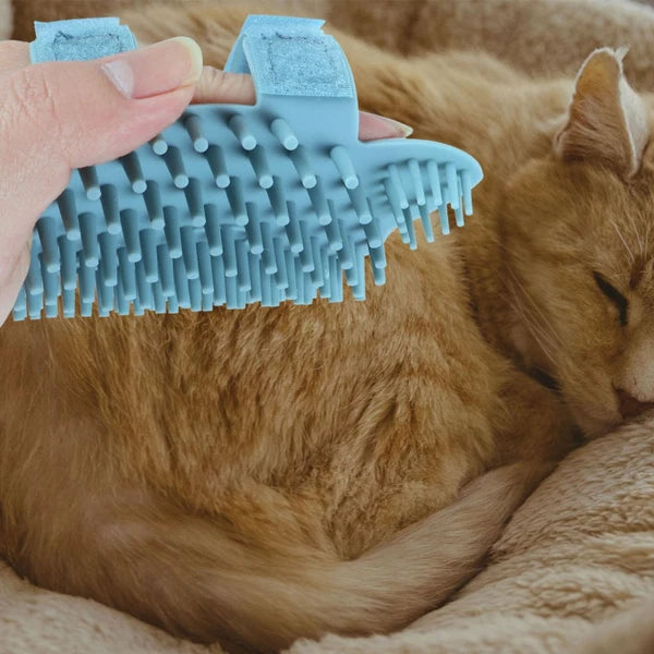 Cat Scratcher Silicone Massage Brush Bridegroom Massager for Cats Soft