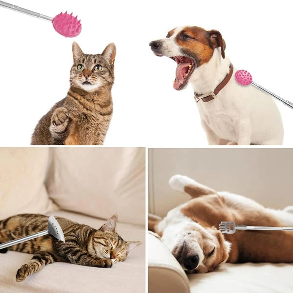 Back Scratcher with 4 Pcs Detachable Heads, Portable Extendable Backscratcher...