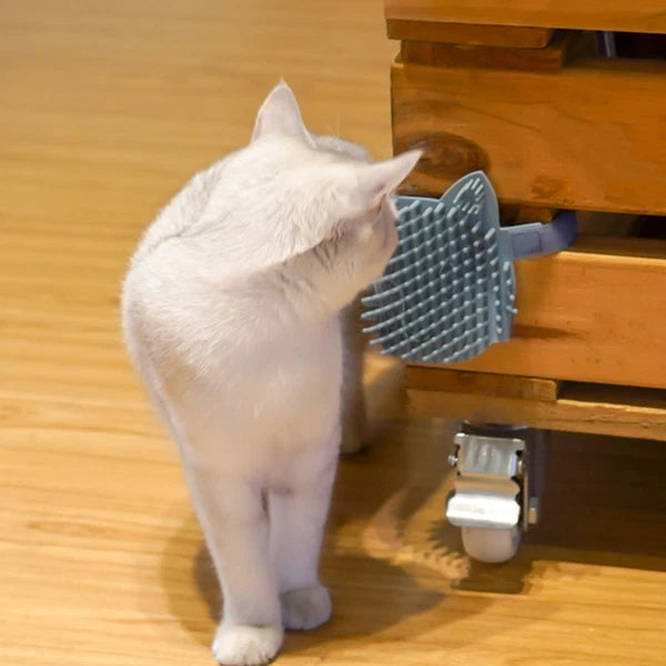 Board Massage Grooming Brush Cat Scratchers Pet Cleaning