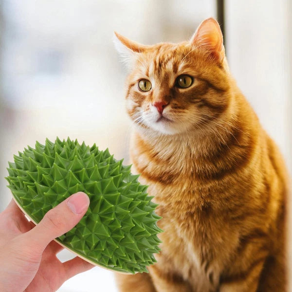 Fruit Molding Scratcher Cat Shelf Massage Comb Cartoon Cat Brush Cat Supply