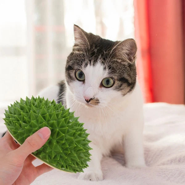 Fruit Molding Scratcher Cat Shelf Massage Comb Cartoon Cat Brush Cat Supply